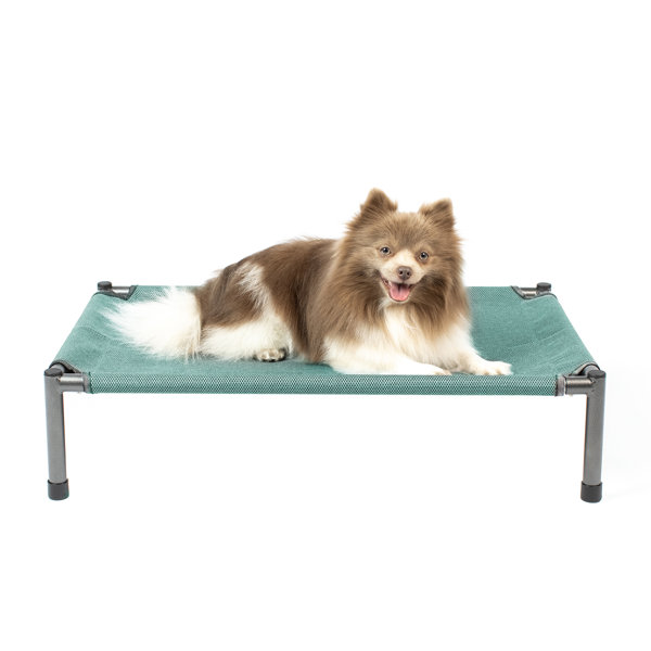 Tucker Murphy Pet™ Raised Rest Deluxe Elevated Dog Bed Wayfair Canada